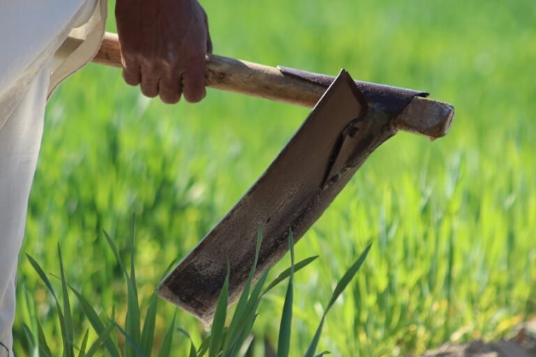 business evaluation and analysis